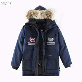 Picture of Canada Goose Down Jackets _SKUCanadaGooseXS-X2L26yr3437804